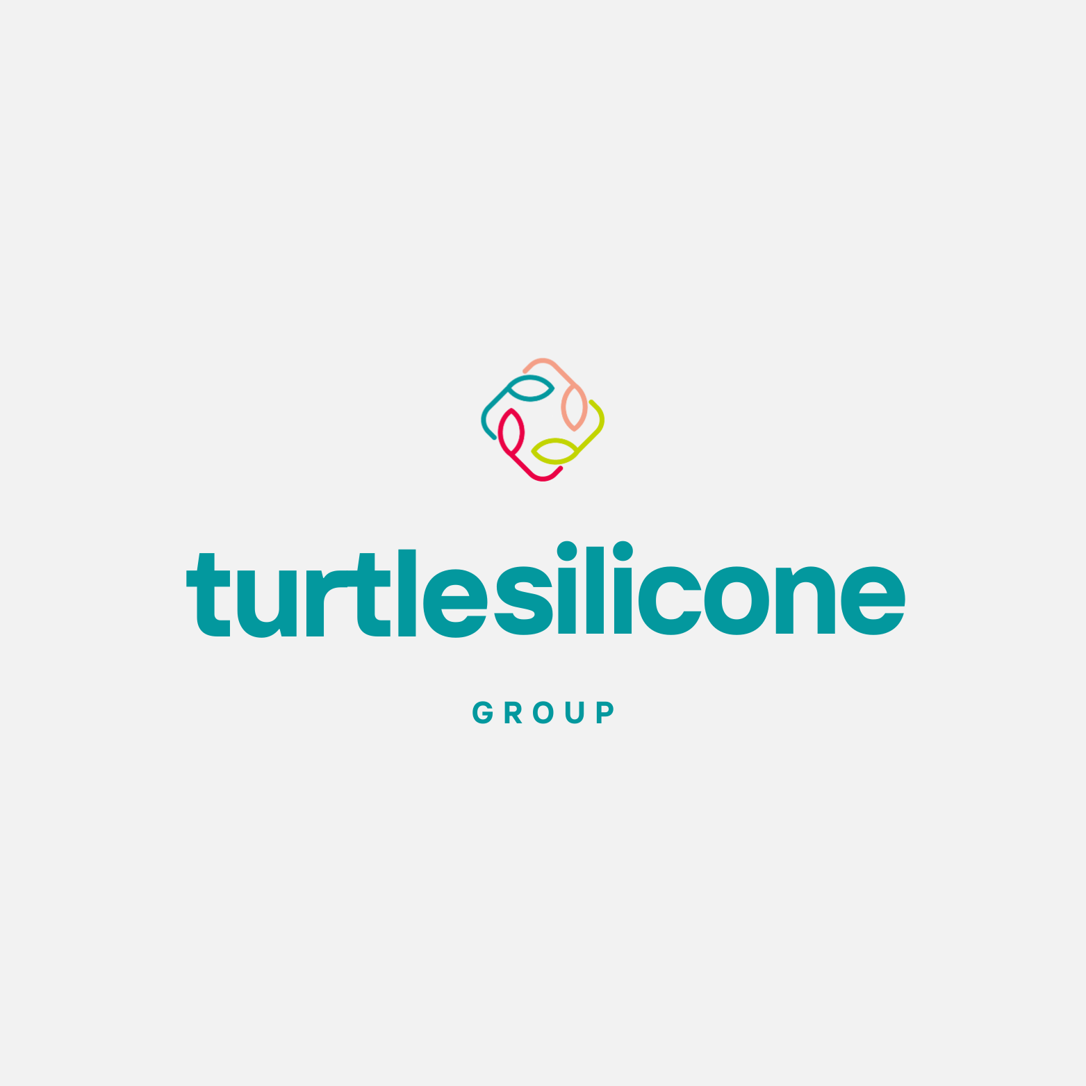 Turtle Silicone Group