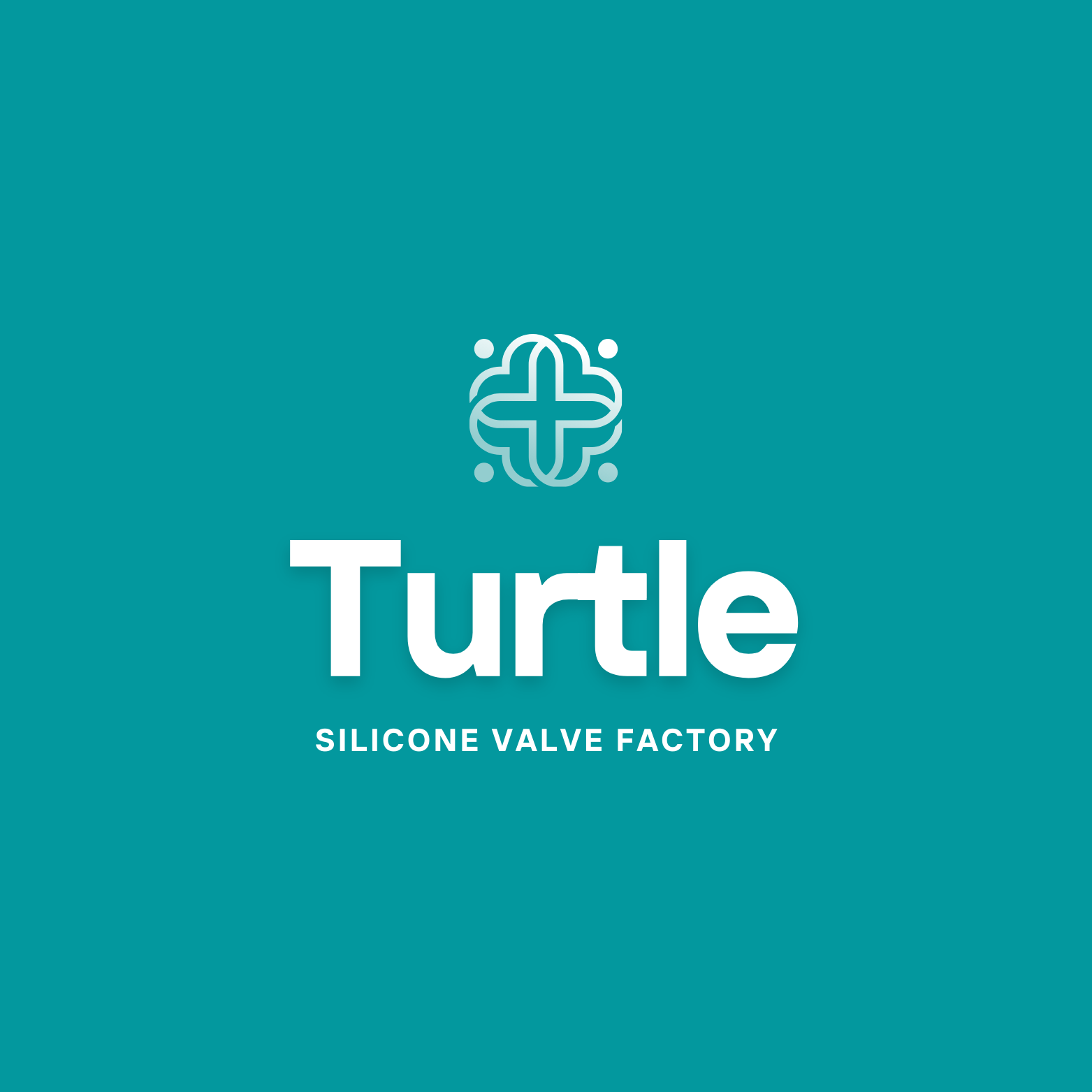 Turtle Silicone Valve